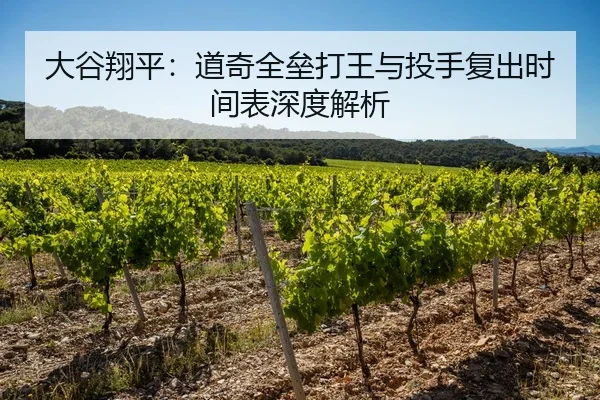 大谷翔平：道奇全垒打王与投手复出时间表深度解析