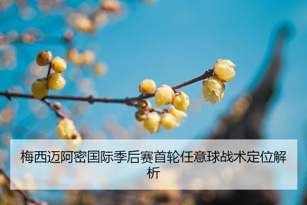 mei-xi-mai-a-mi-guo-ji-ji-hou-sai-shou-lun-ren-yi-qiu-zhan-shu-ding-wei-jie-xi-2-542.jpg