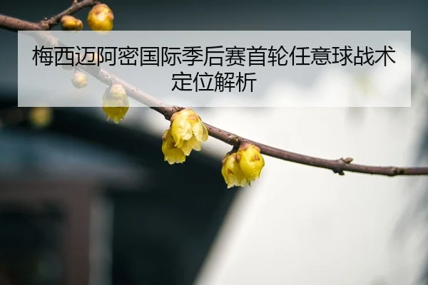 mei-xi-mai-a-mi-guo-ji-ji-hou-sai-shou-lun-ren-yi-qiu-zhan-shu-ding-wei-jie-xi-3-972.jpg