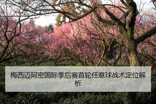 梅西迈阿密国际季后赛首轮任意球战术定位解析