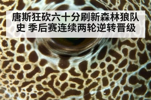 唐斯狂砍六十分刷新森林狼队史 季后赛连续两轮逆转晋级